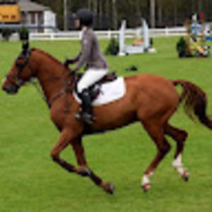 Meet your Posher, Kelsey